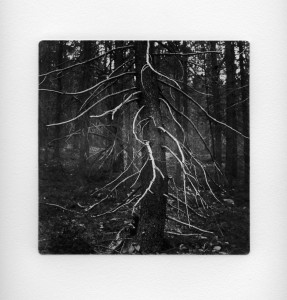 Sticks and Stones 18 